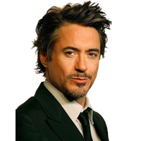 Robert Downey Jr Image