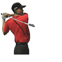Tiger Woods Image