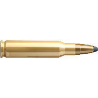 Bullets Image