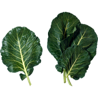 Lettuce PNG Category