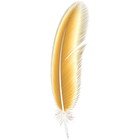 Feather PNG Category