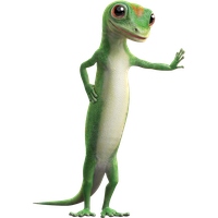 Gecko PNG Category