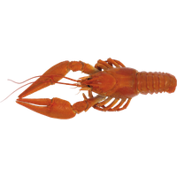 Lobster PNG Category