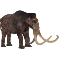 Mammoth PNG pack preview