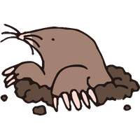 Mole PNG Category
