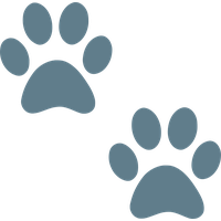 Paw PNG Category