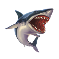 Sharks PNG Category