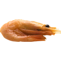Shrimps PNG Category
