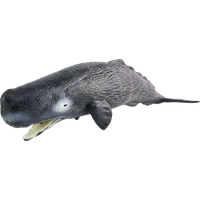 Sperm Whale PNG Category