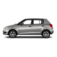Skoda PNG Category