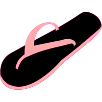 Flip Flops Category