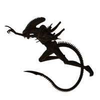 Xenomorph PNG Category
