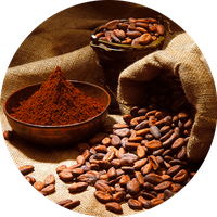 Cacao PNG Category