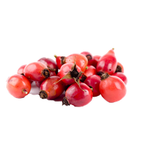 Rose Hip PNG Category