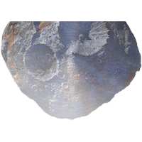 Asteroid Category