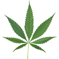 Cannabis Category
