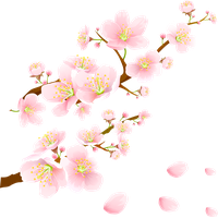 Sakura PNG pack preview