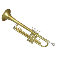 Trumpet And Saxophone Category