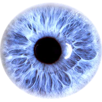 Eyes PNG Category