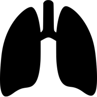 Lung PNG pack preview