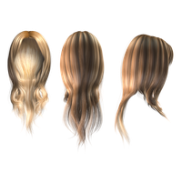 Wig PNG Category