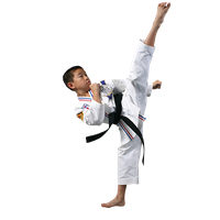 Taekwondo PNG Category