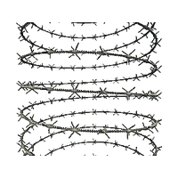 Barbwire Category
