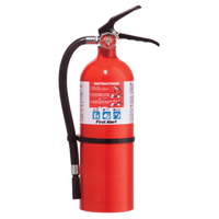 Extinguisher Category