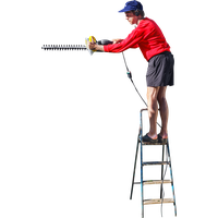 Ladder Category