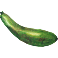 Marrow PNG Category