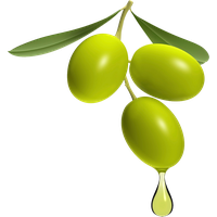Olives PNG Category