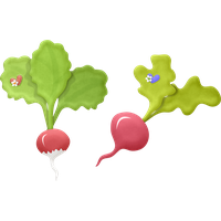 Radish PNG Category
