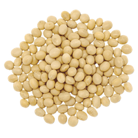 Soybean PNG pack preview