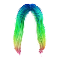 Hair PNG Category