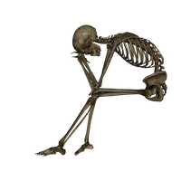Skeleton Image