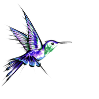 Download Hummingbird Free PNG photo images and clipart | FreePNGImg