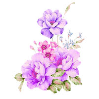 Violet Image