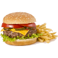 Burger Sandwich Image