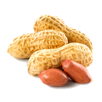 Peanut Image