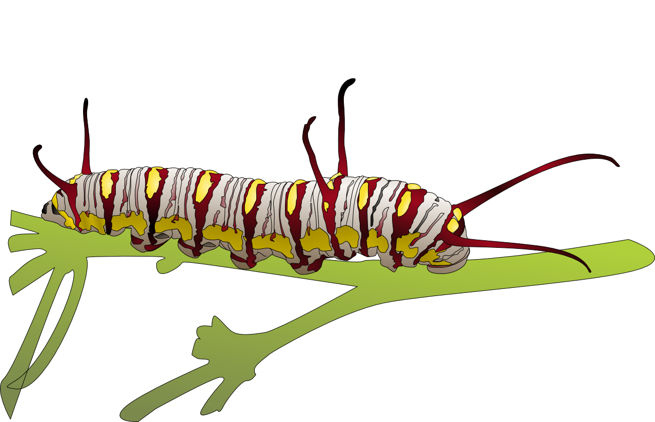 Caterpillar Free Png Image PNG Image
