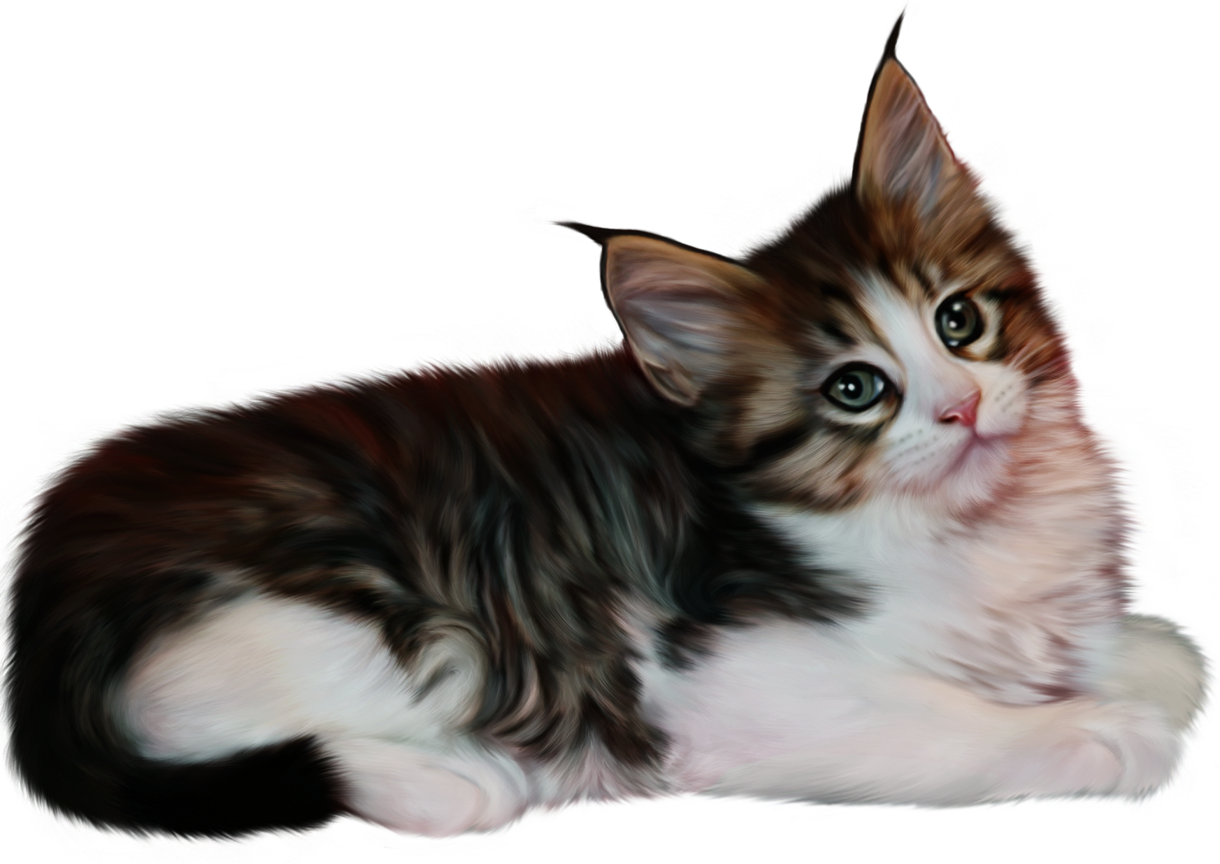 Cat Transparent PNG Image