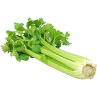 Celery Fresh Green PNG Image High Quality PNG Image