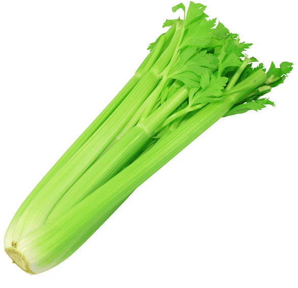 Celery Fresh Green Download Free Image PNG Image