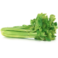 Celery Fresh Green Free HQ Image PNG Image