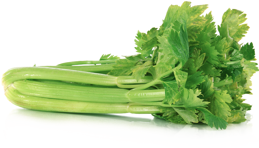 Celery Fresh Green Free HQ Image PNG Image