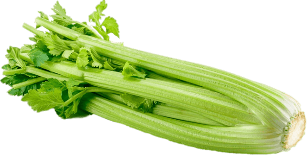 Celery Fresh Pic Green Free Download PNG HD PNG Image