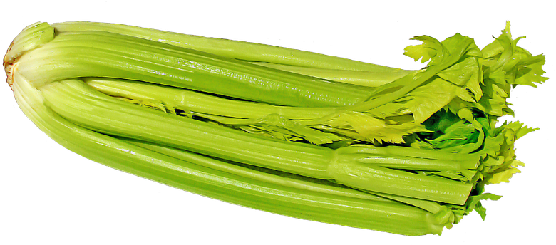 Celery Fresh Green HQ Image Free PNG Image