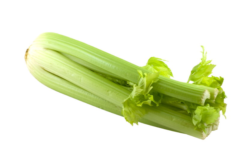 Celery Fresh Green Download HQ PNG Image