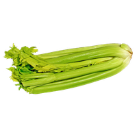 Celery Fresh Green Free HQ Image PNG Image