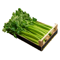 Celery Green PNG Free Photo PNG Image